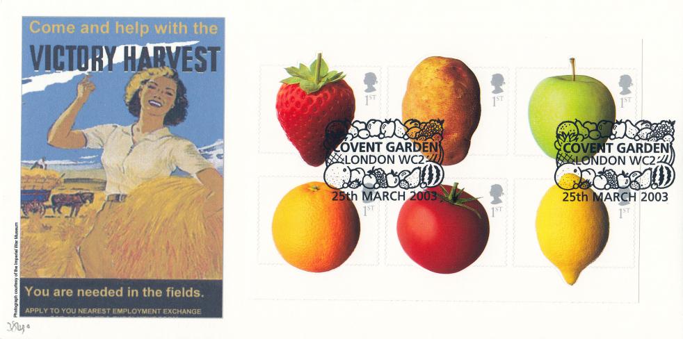 2003 (03) Fun Fruit & Veg - Cambridge 'Victory Harvest' Official (Pair) - Only 40 Produced !