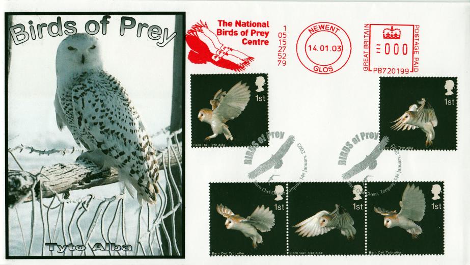 2003 (01) Birds of Prey - Privately Produced Cover (Pair) - Barn Owl Close H/S + National Birds of Prey Centre Meter Mark