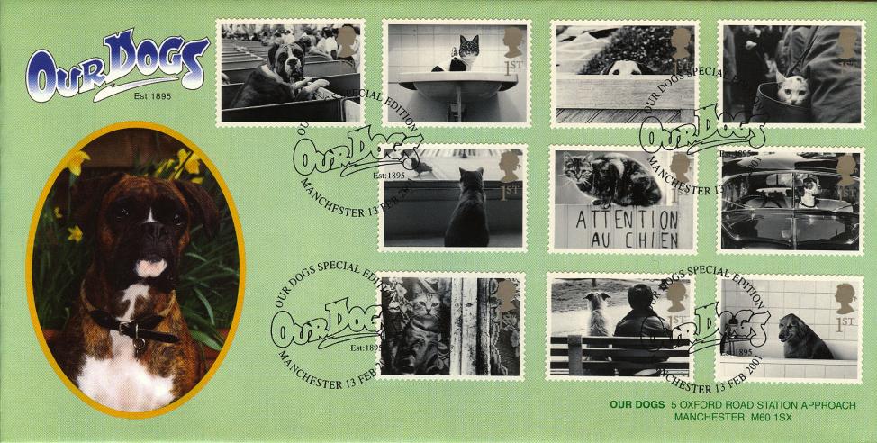 2001 (02) Cats & Dogs - Covercraft Official