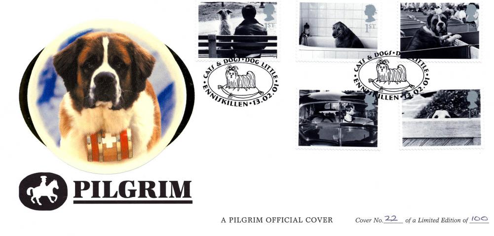 2001 (02) Cats & Dogs - Benham Pilgrim Official (Enniskillen H/S)