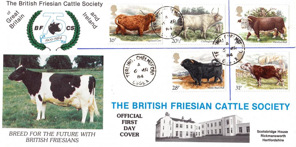 1984 (03) Cattle - DGT British Friesian Cattle Society Official - Terling CDS