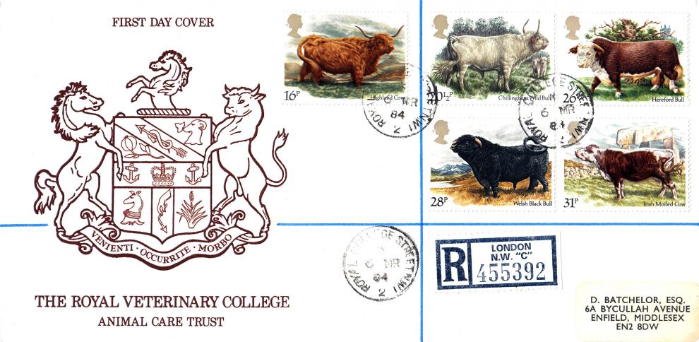 1984 (03) Cattle - Stewart Petty Royal Veterinary College Official - Royal College Street CDS