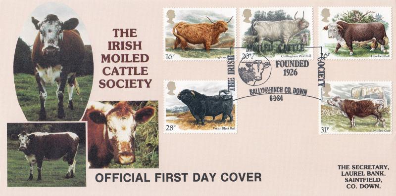 1984 (03) Cattle - DGT Irish Moiled Cattle Society Official