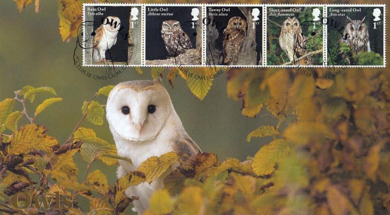 2018 (05) Owls - Internet 'Owls Close' Official (5 Stamps)