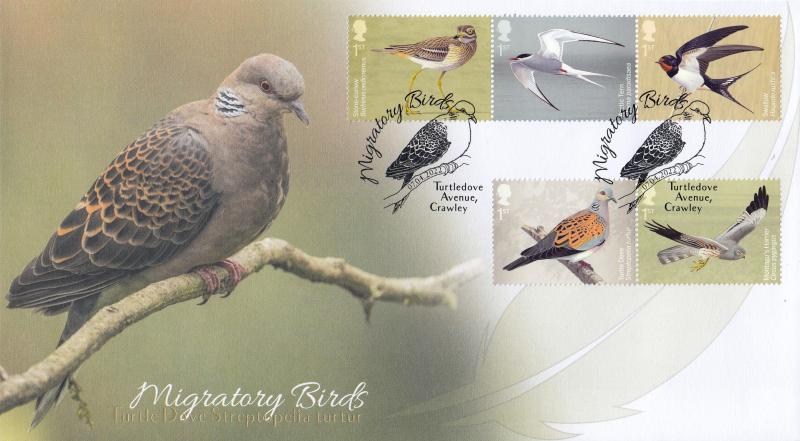 2022 (04) Migratory Birds - Internet 'Turtledove Avenue' Official