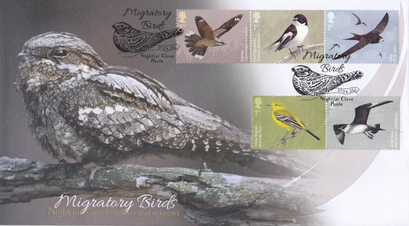 2022 (04) Migratory Birds - Internet 'Nightjar Close' Official