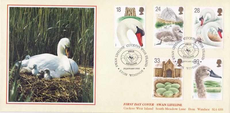 1993 (01) Swans - Covercraft 'Swan Lifeline, Cuckoo Weir Island, Eton' Official