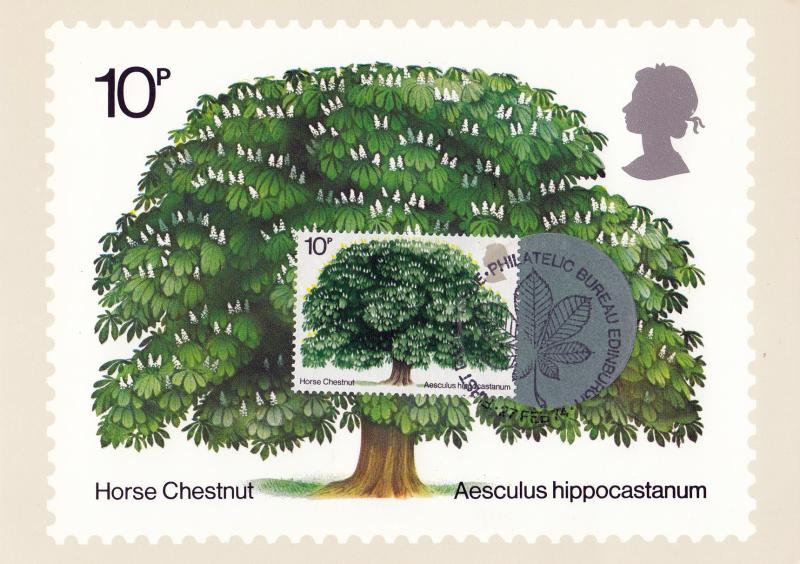1974 (02) Trees (Horse Chestnut) - PHQ Card - Stamp on Front - Edinburgh H/S
